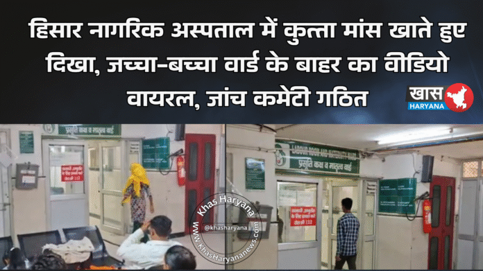 हिसार नागरिक अस्पताल में कुत्ता मांस खाते हुए दिखा, जच्चा-बच्चा वार्ड के बाहर का वीडियो वायरल, जांच कमेटी गठित