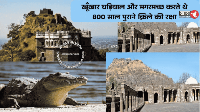 खूँखार घड़ियाल और मगरमच्छ करते थे 800 साल पुराने क़िले की रक्षा