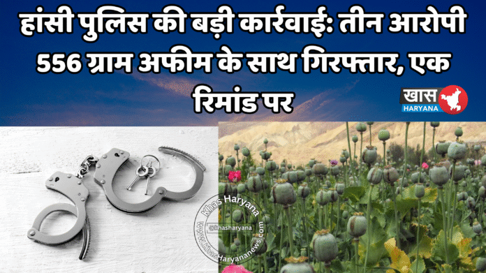 हांसी पुलिस की बड़ी कार्रवाई: तीन आरोपी 556 ग्राम अफीम के साथ गिरफ्तार, एक रिमांड पर