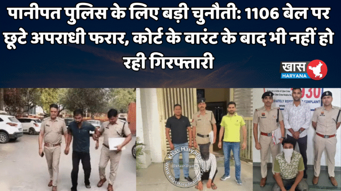 पानीपत पुलिस के लिए बड़ी चुनौती: 1106 बेल पर छूटे अपराधी फरार, कोर्ट के वारंट के बाद भी नहीं हो रही गिरफ्तारी