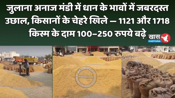 जुलाना अनाज मंडी में धान के भावों में जबरदस्त उछाल, किसानों के चेहरे खिले — 1121 और 1718 किस्म के दाम 100–250 रुपये बढ़े