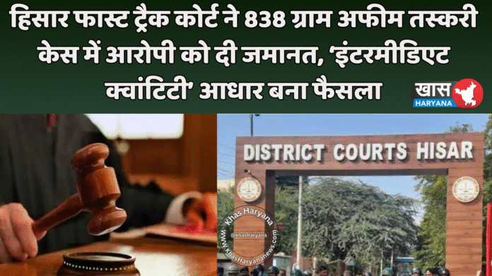 हिसार फास्ट ट्रैक कोर्ट ने 838 ग्राम अफीम तस्करी केस में आरोपी को दी जमानत, ‘इंटरमीडिएट क्वांटिटी’ आधार बना फैसला