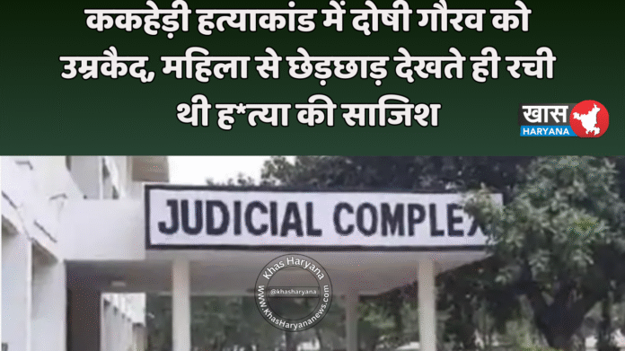 ककहेड़ी ह*त्याकांड में दोषी गौरव को उम्रकैद, महिला से छेड़छाड़ देखते ही रची थी ह*त्या की साजिश